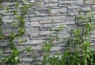Tranmere Northgreen-walls-4.jpg; ?>