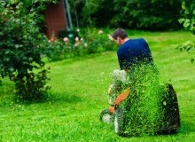 Kwikfynd Lawn Mowing
tranmerenorth